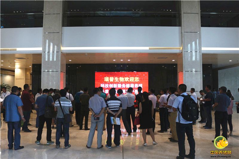 为大家介绍瑞普生物