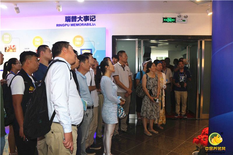 参观瑞普创业团队