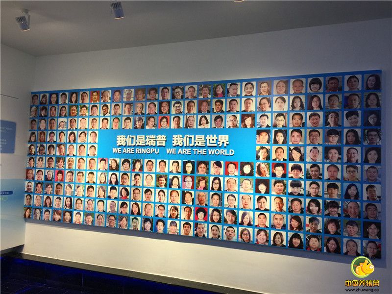 “我们是瑞普，我们是世界”——瑞普生物员工影集