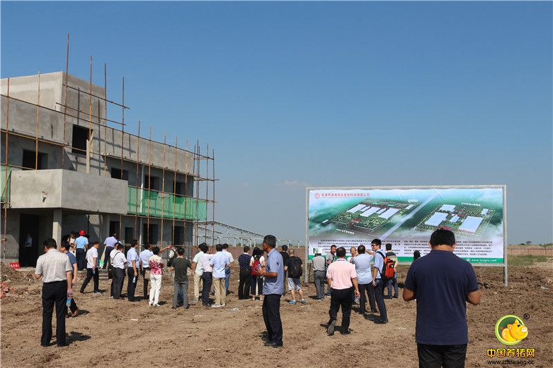 津港天兆畜牧科技有限公司邀请业内专家及相关人士来到正在建设中的核心种电子游艺网站
参观