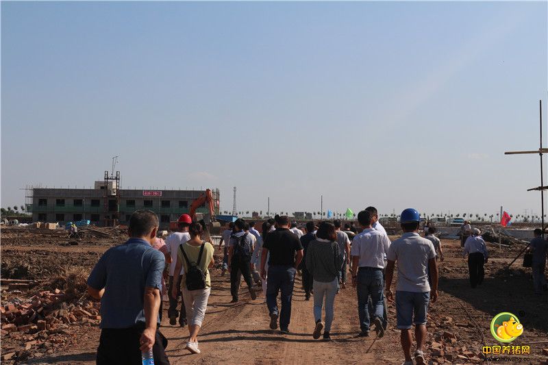 正在建设中的核心种电子游艺网站
