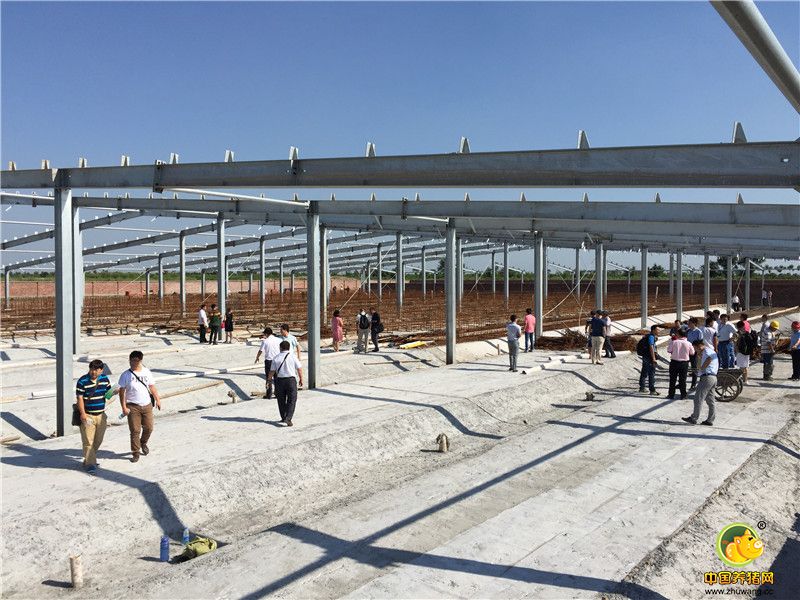 建设中的核心种电子游艺网站
