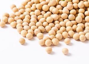 昨日豆粕现货稳中上涨，豆粕库存继续回落