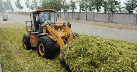 玉米秸秆有国家补贴 这些你都知道吗？