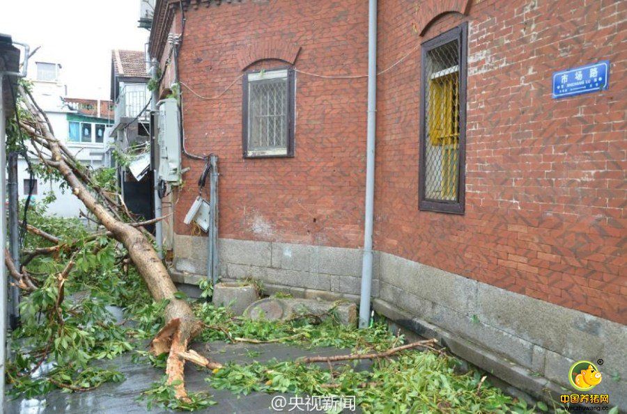 建筑出现不同程度损毁。