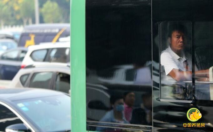 9月，有市民提出：在发生“肠梗塞”的地方的东侧，有个4米宽的花坛，里面全是杂草和生活垃圾。如把这个花坛拆掉，可能会分流一部分由南向北的车辆。