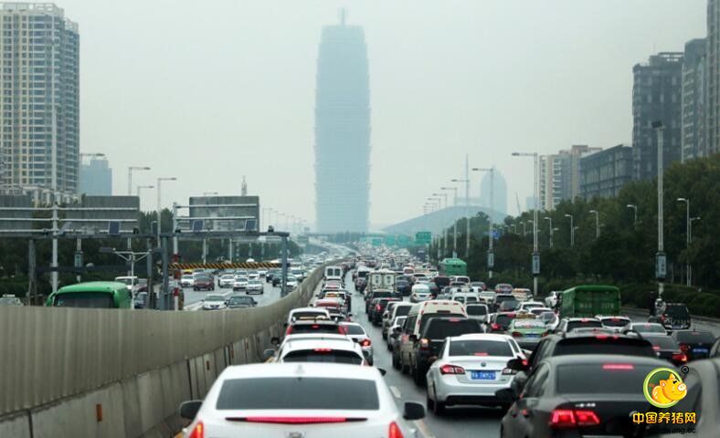 对此，陇海路高架桥项目部相关负责人称，陇海路高架桥以该互通式立交为界，东西两侧都有下桥口。西侧在未来路有个下桥口，东侧在黄河南路有个下桥口，但是，不少车主嫌提前下桥再绕到中州大道的路程过远而不愿提前下桥。