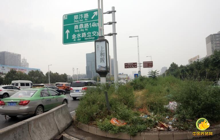 目前，市民开车行驶在陇海路上，不管是由东向西还是由西向东，都可经“陇海路—中州大道互通式立交桥”向北行驶到中州大道上，与机场高速、航海路方向过来的车流量汇聚到一起，造成中州大道郑汴路拥堵严重。能否利用陇海路高架桥的下匝道口，提前分流一部分向北行驶的车辆？