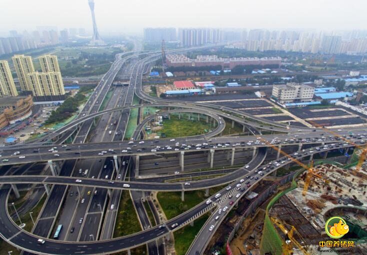 对此，郑州市交巡警四大队的民警称，这个花坛确实处在“肠梗塞”的关键地方，但花坛也有个作用是阻止由南向北的车辆从此右转至白庄街，如把花坛全部拆掉，会有不少车辆在此变道、混行，这样会更加剧拥堵。