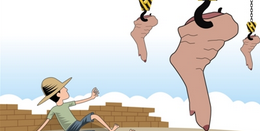 美国农业部：预计本国电子游艺平台
出口在秋冬两季将有所增长