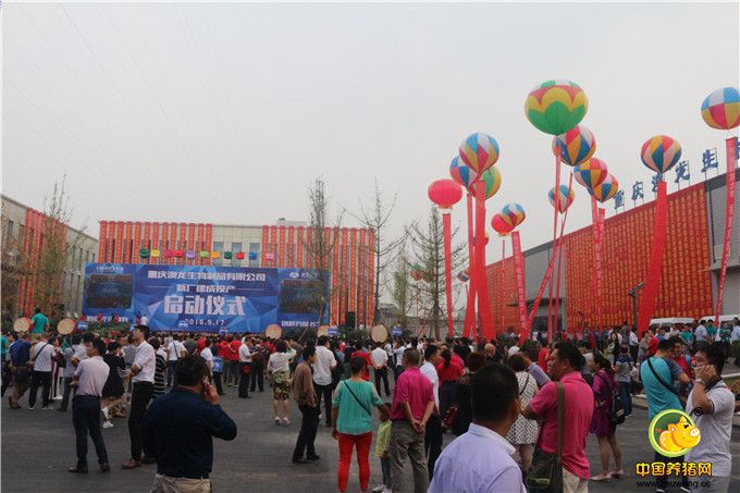 现场人山人海、人头攒动