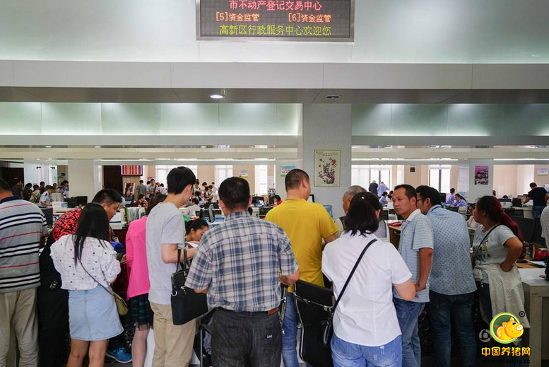 常州不动产登记交易中心业务办理现场。
