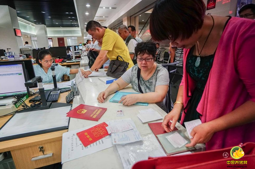 市民在常州不动产登记交易中心现场办理业务。