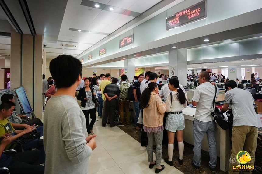 常州不动产登记交易中心业务办理现场。