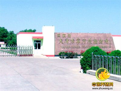名企推荐——天津市宁河原种电子游艺网站
