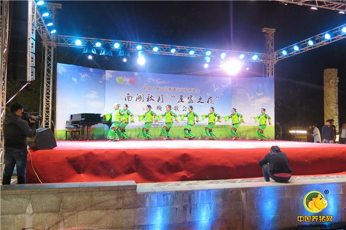 上过央视春晚的《俏夕阳》