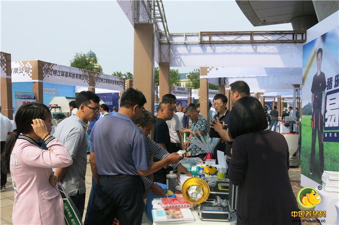 与会代表逛展位