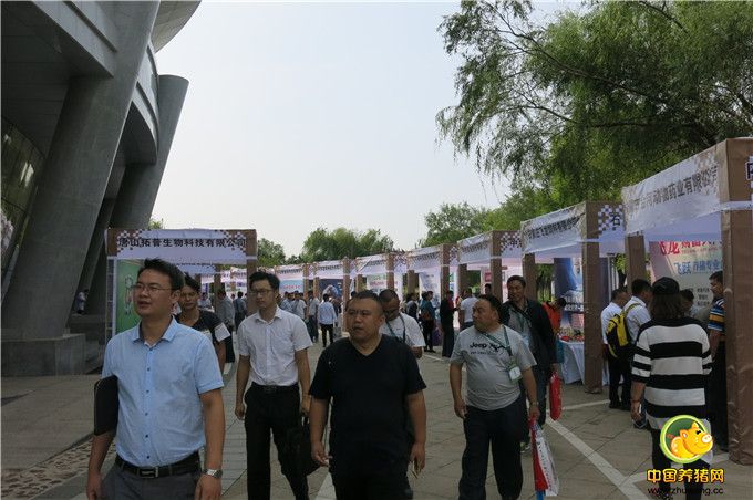 与会代表逛展位