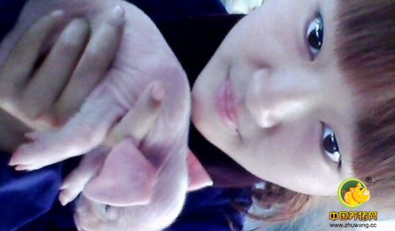 小编初识这个妹子，就发现了她与同龄人的不同，人非常耐心，考虑也很周全，对未来对人生，她有很多憧憬和正能量。花季的年龄她初入电子游艺网站，从懵懵懂懂到步入正轨，她和别人的18岁过的不太一样，但是她无怨无悔，珍惜这段令她成长成熟的经历，养猪也许也会是她人生中最难忘的回忆，谁说年纪小就不能养猪？初生牛犊不怕虎，养猪业也正需要新鲜的力量，来推动新一轮的变革，伟大的事业也要后继有人才能得以传承。