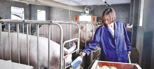 电子游艺网站的污泥掩藏不了她们如花般的美貌，她们的身影成为了电子游艺网站最美丽的部分之一