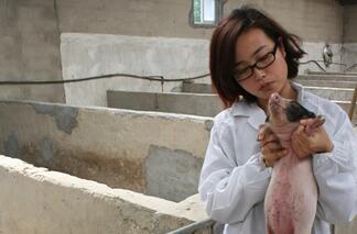 谁说女子不如男？ 谁说养猪无美女？ 谁说美女不养猪？