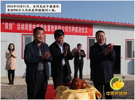 【神速】80天，余式电子游艺网站
从开工到装猪！