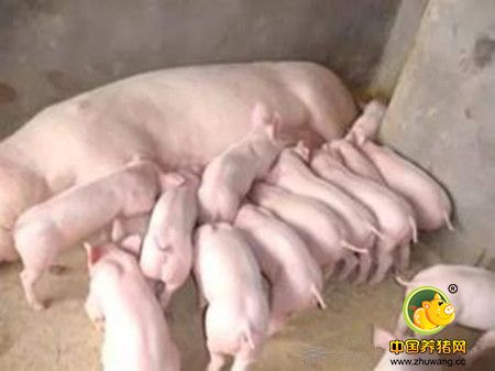 养电子游艺网站
秋冬腹泻高发，该怎么办？