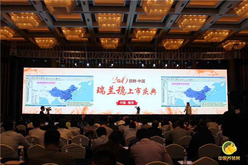 10月16日下午，硕腾中国瑞兰稳上市庆典在南京顺利召开。会上，硕腾公司宣布，瑞兰稳——高致病性猪繁殖与呼吸综合征、猪瘟二联活疫苗（TJM-F92株+C株）（简称“猪蓝耳病-猪瘟二联苗”）正式在中国上市，这是跨国动物保健企业硕腾公司在中国率先上市的一款创新性疫苗产品。