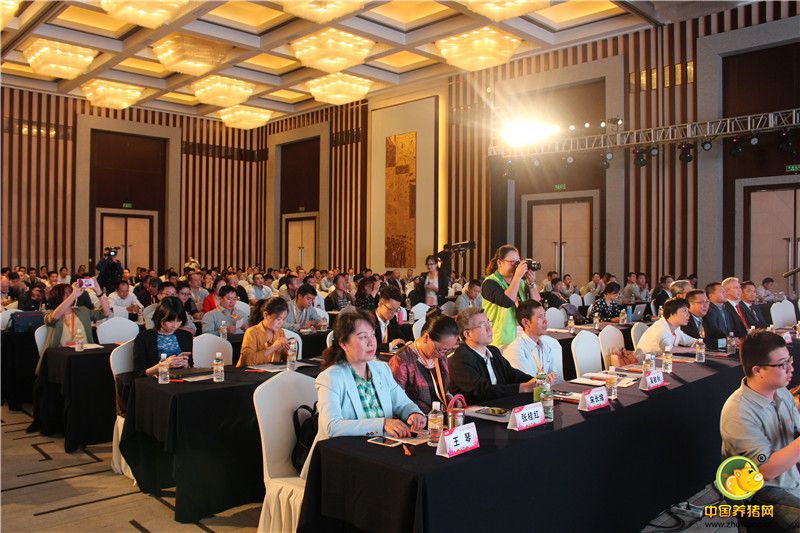 瑞兰稳上市庆典现场