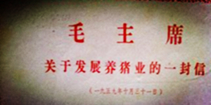 电子游艺网站
环评都有哪些程序？猪病治疗中有哪些忌讳?