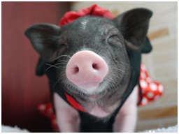 于是我走上了模特之路，据说我这张写真在微信上被疯传，大家都很欣赏我的美。