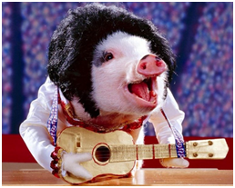 第二年我还进军了歌坛，获得了不错的成绩，开了一场个人演唱会。