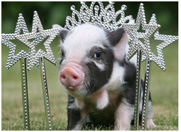 和灰姑娘一样，她也有一个皇后后妈，但是，她的后妈对她很好，她生活的很快乐。