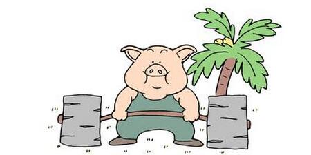 645头“猪八戒” 从美国打飞的近10个小时到达中国