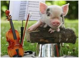 这几年的忙碌已经让我三年没有回过家。