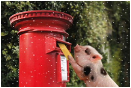虽然下着风雪，但是思念之情挡不住，我还是冒着风雪寄了封信回家。