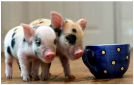 甚至思念起总是和我吵架的二货兄弟。