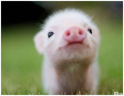 这个时候我不禁望天，突然很思念家里的人。