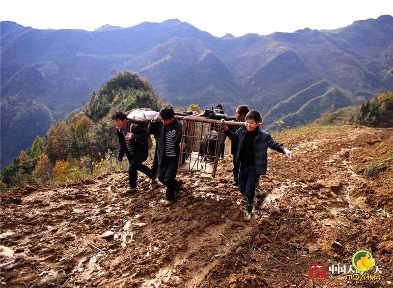 覃沛亮揣着当月的工资只身来到西安找工作。在应聘了108家单位后，他开始在一家销售酒的公司工作，此时他身上只剩下20元。覃沛亮第一天卖了6件酒，第三天卖了30多件，几天下来老板对他刮目相看，决定派他去咸阳开拓市场。此时，他已身无分文，又饥肠辘辘，只能向老板借钱吃饭。