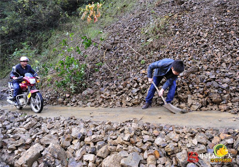 为了便于上山，覃沛亮雇了挖掘机在荒山上拓宽了一条5米宽、5公里长的土路，仅此一项就花去40多万元。