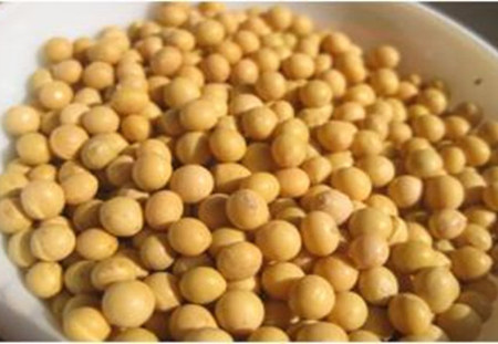 美豆年末库存大幅上调 单产总产均上调