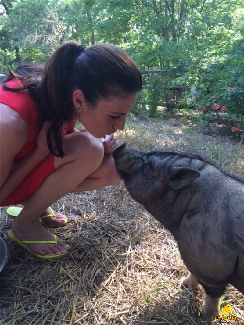 直到有人打电话给位于北卡罗莱纳达勒姆的一对德国夫妇，他们经营一家小型的动物救助站，Alesja Daehnrich 表示：“当时电话里问我愿不愿收养一对猪，我当时有点懵，但我还是同意了。工作之后来不及换高跟鞋，我就开车去接它们了。”