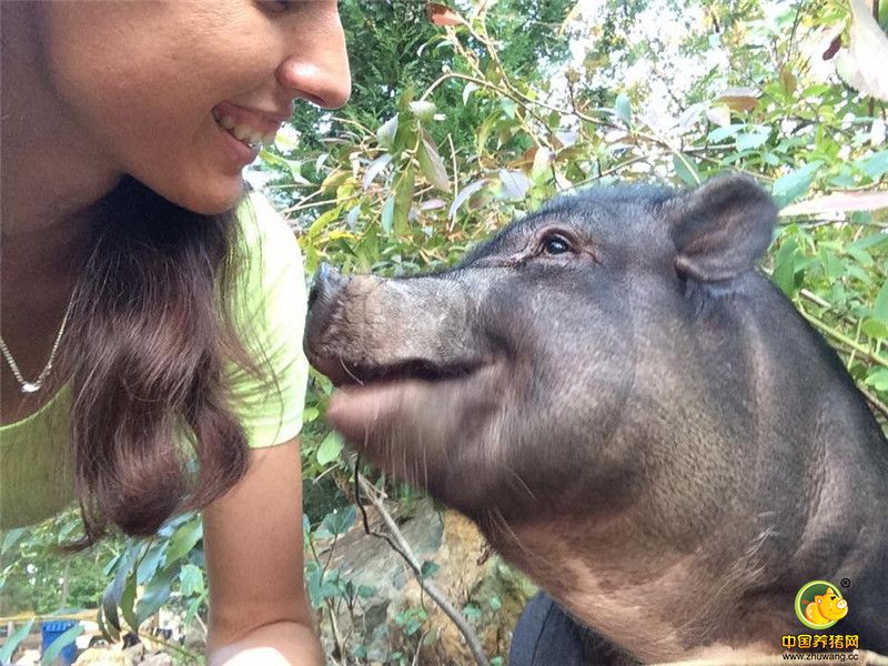 Alesja表示：“我们很爱它们，虽然我们平时很爱动物，但Piggeldy和Kevin在我们的心中占据着特别的位置。”