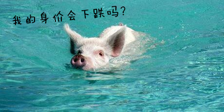 一周综述：猪价上涨遇风险？会再转跌么？