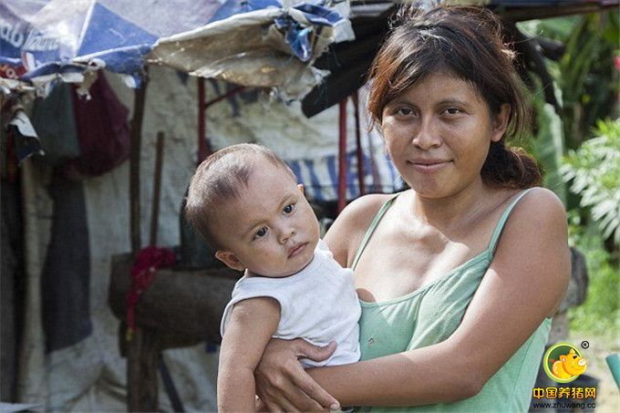 丹尼·埃尔南德斯（Dani Hernandez）家在离“血湖”50码（约50米）的地方，她每天都生活在恐惧之中，夜不能寐，担忧自己的两个孩子4岁的盖尔和 7个月的布莱恩（Brian）会受到鳄鱼伤害，还要受蚊子的困挠，担心会得疟疾。