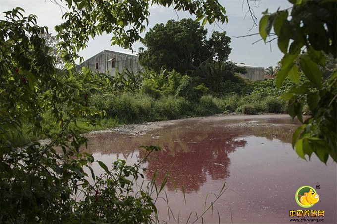 “血湖”肮脏不堪。