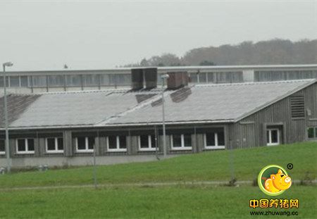电子游艺网站
利用太阳能实现能源自给，做新能源的参与者！