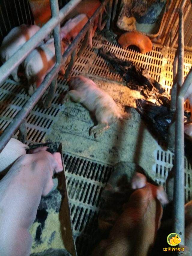 看完，好难受，好好的多好，真的起不来的话，损失钱不怕啥，老爹伤心了才是俺的苦衷，