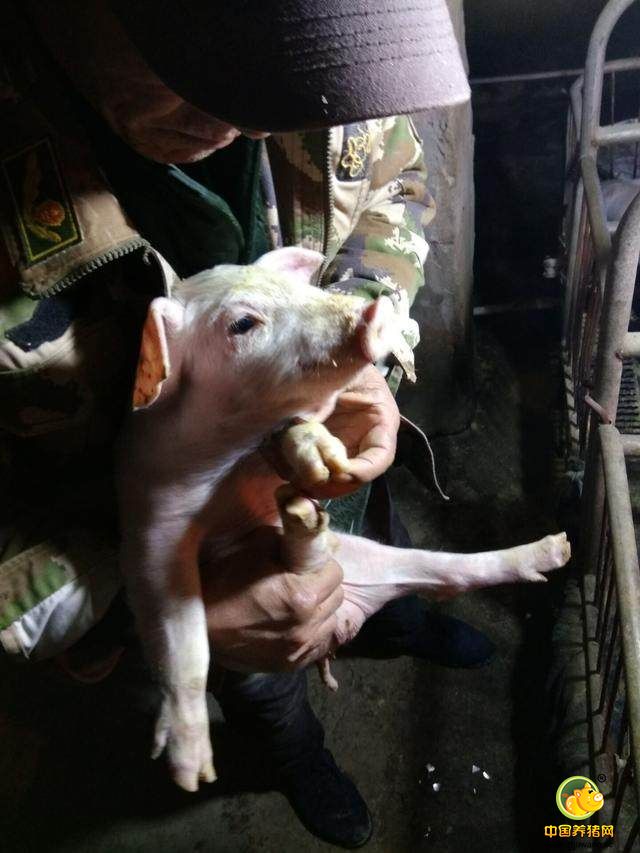 抱起来，自己看下伤势，老爹脸上没有了平时的笑容，就像看自己的孩子一样，自己观察
