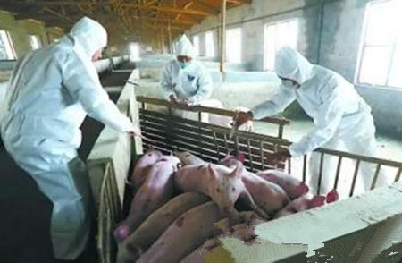 规模化电子游艺网站
秋季呼吸道综合征的防控